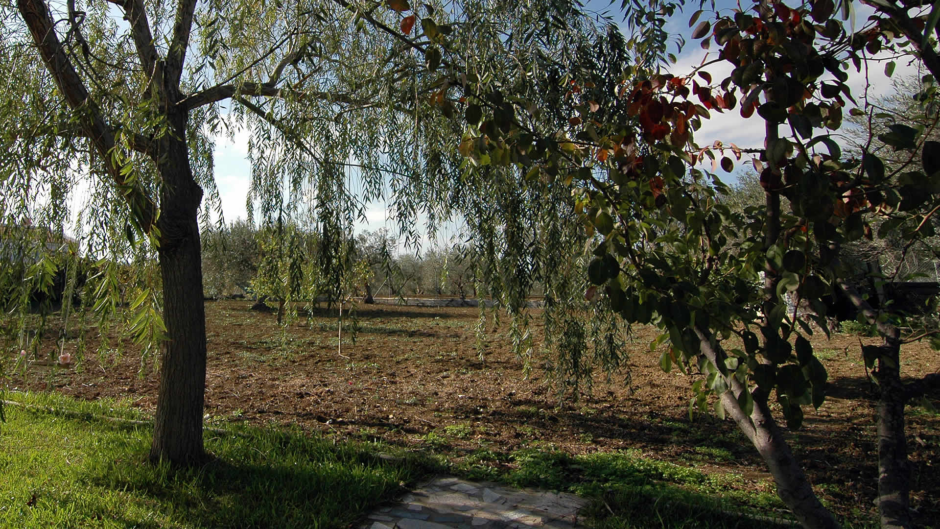 JardÃ­n