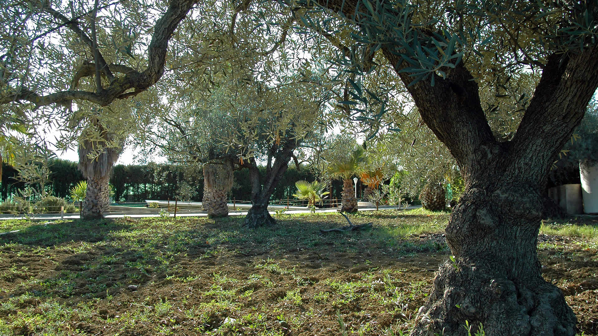 JardÃ­n