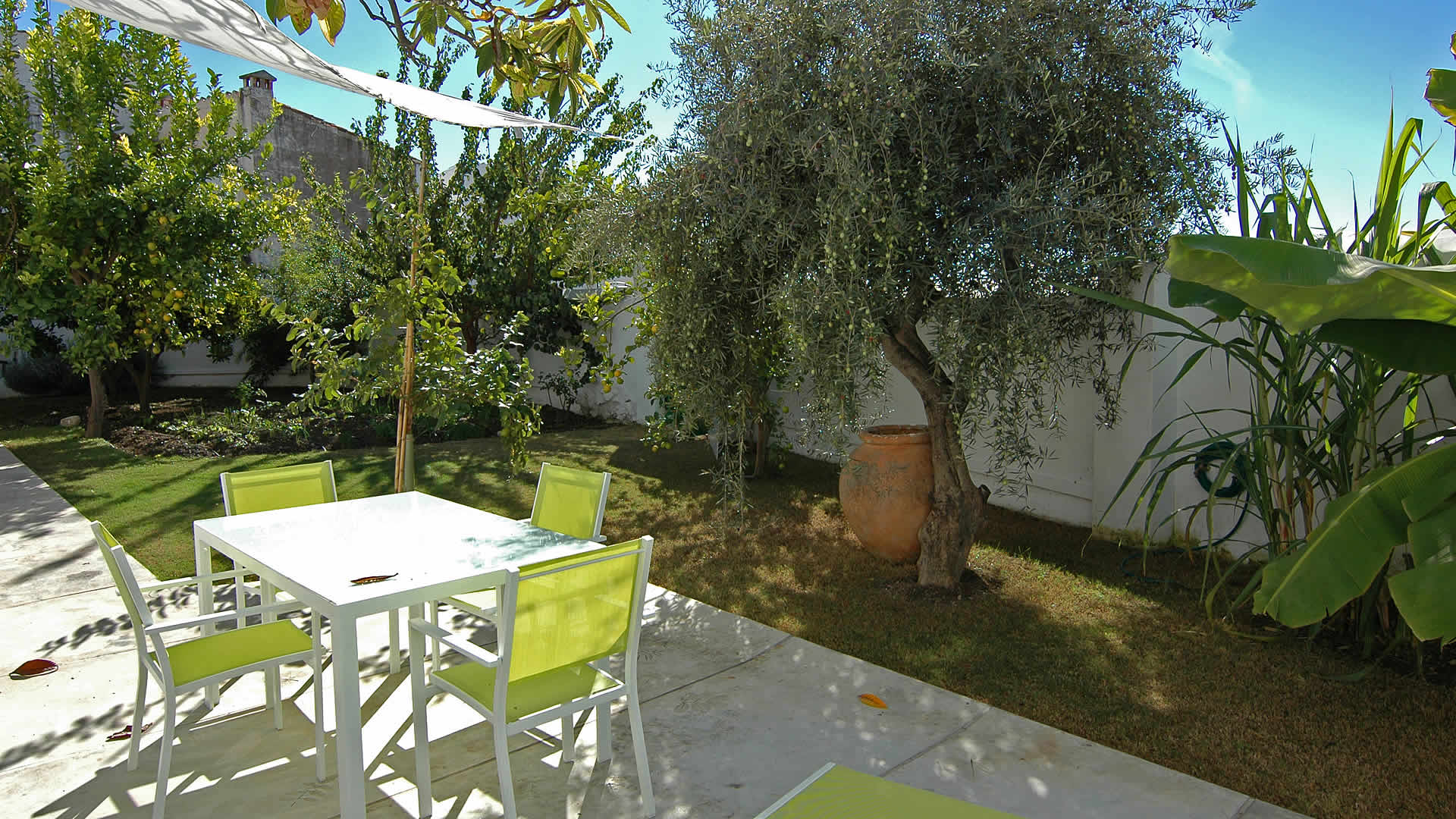 Garden