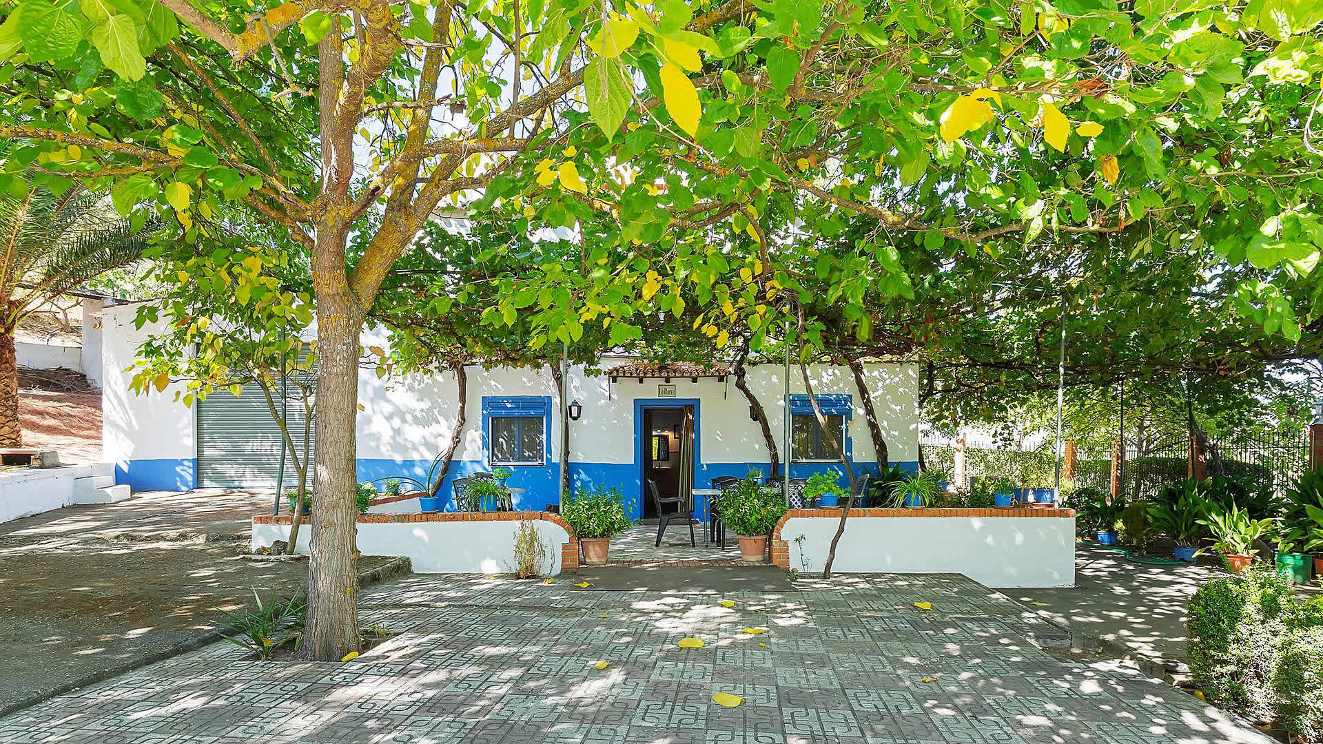 Patio