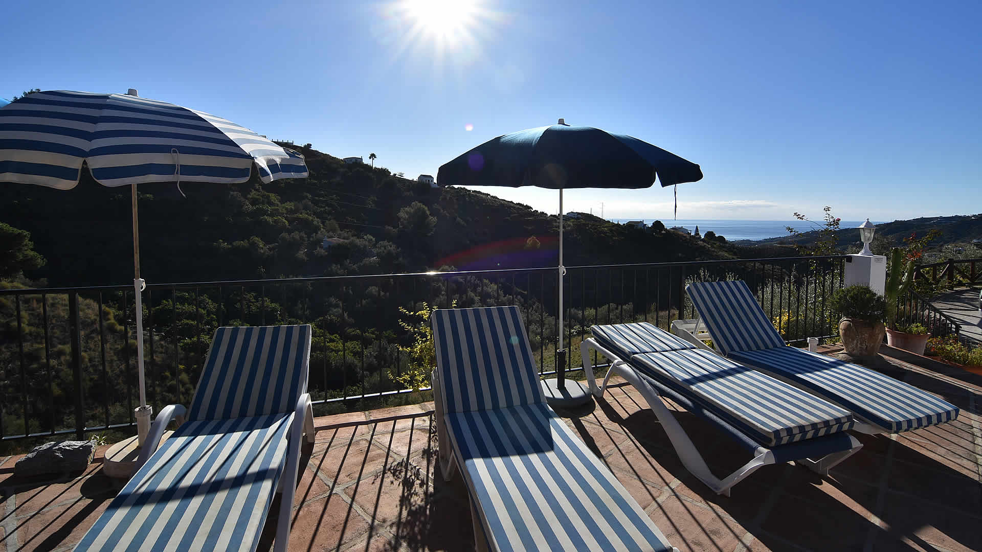 Terraza