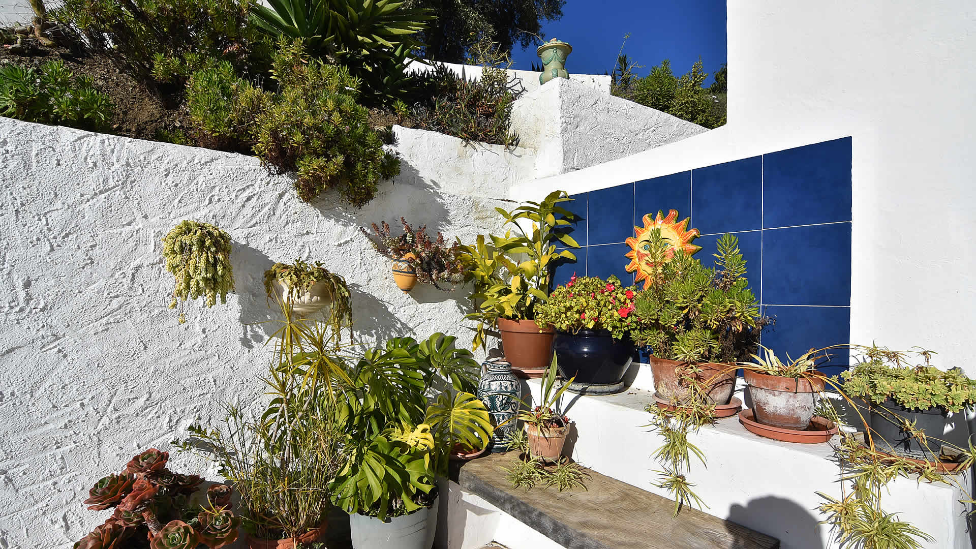 JardÃ­n