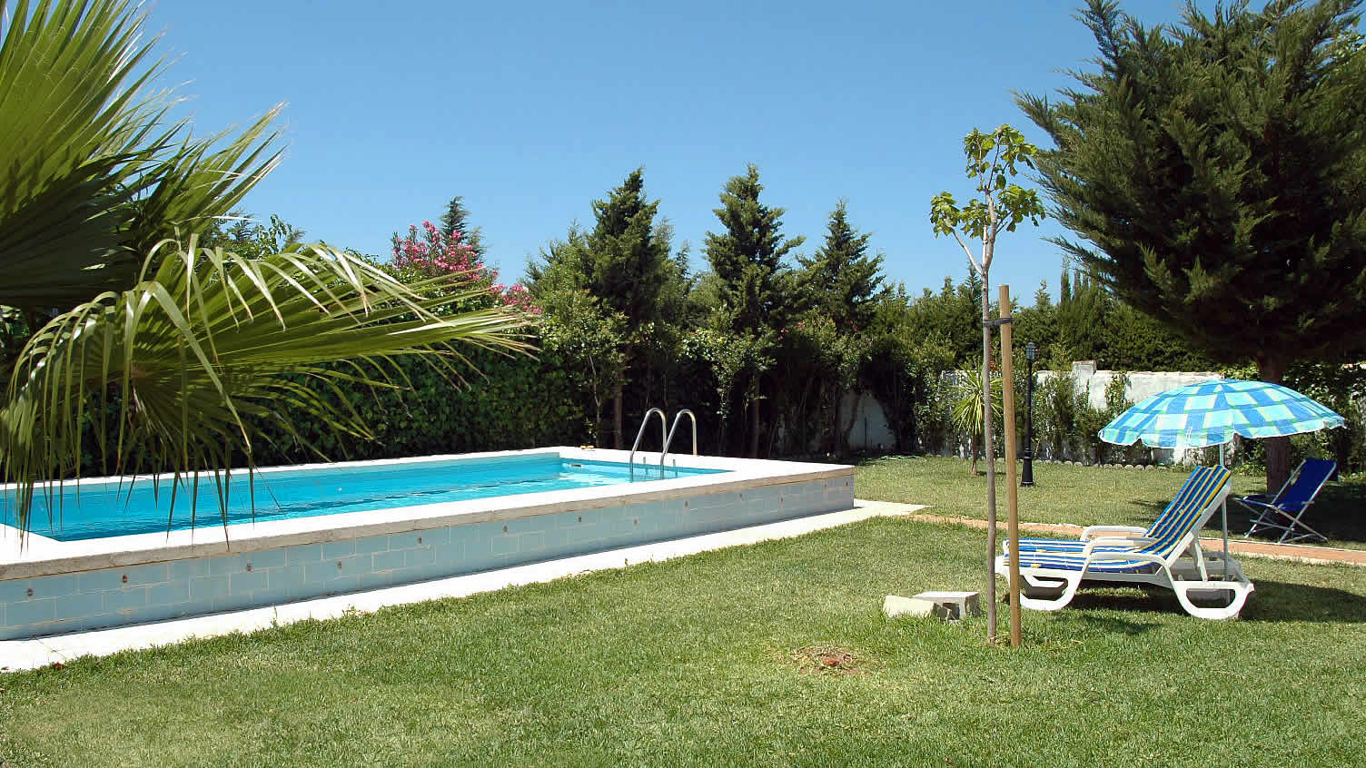 Jardin