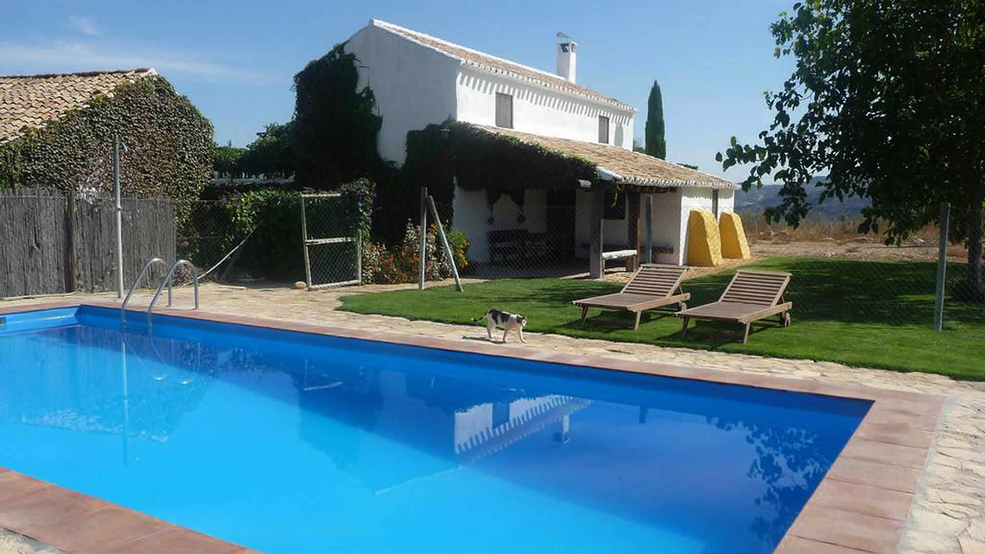 Pool area