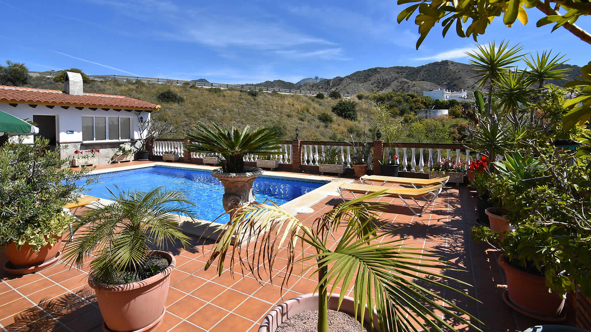 Terraza